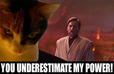 Sith+lolcat.jpg