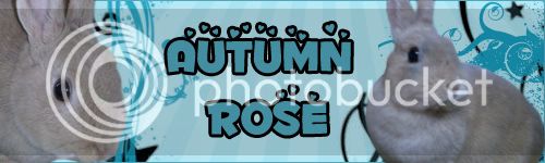 autumn-rose.jpg