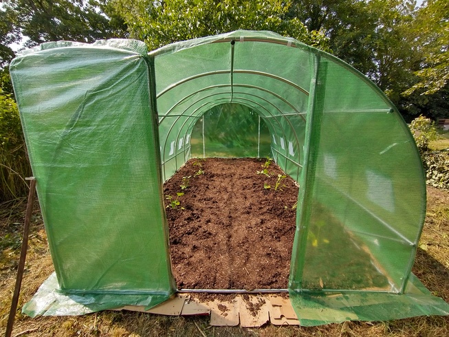 second-polytunnel-05.jpg