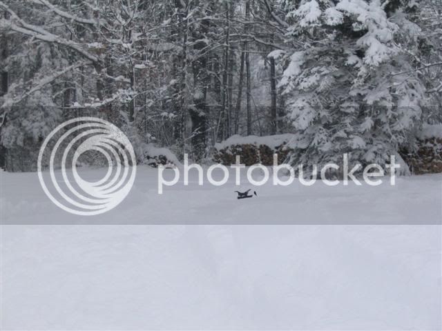 Snow1-1-08032Small.jpg