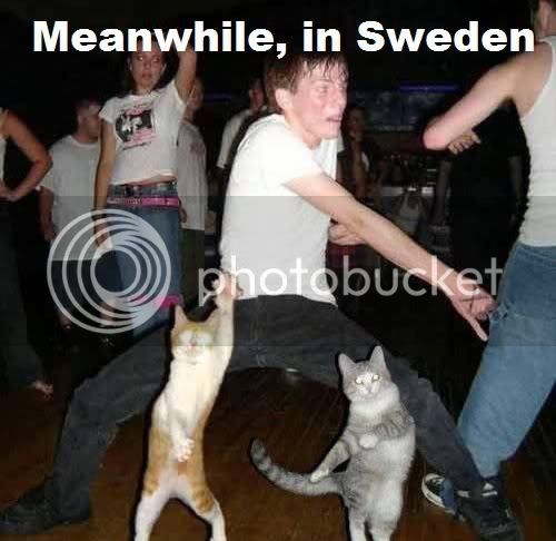 Meanwhile-in-Sweden.jpg