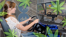 driving-simulator-sm.jpg