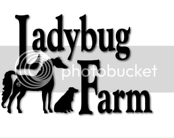 ladybugfarmlogo.jpg
