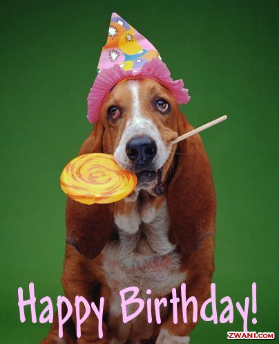 basset+birthday.jpg