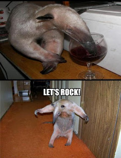 funny+cute+anteater+drinking+wine+lets+rock.jpg