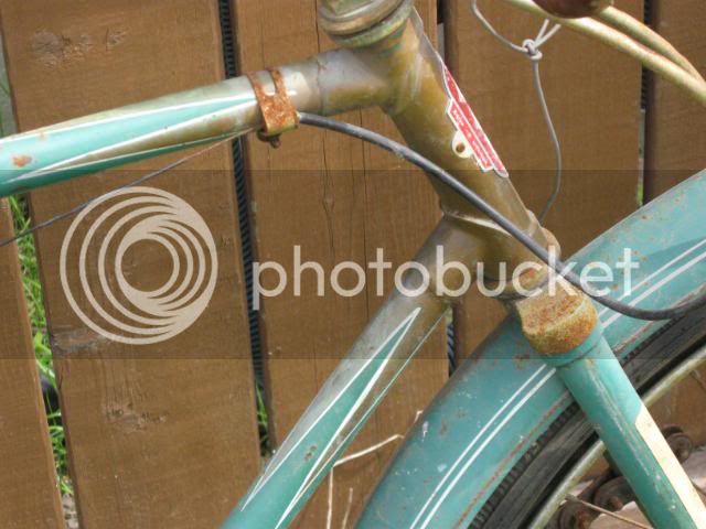 Bikes3152.jpg