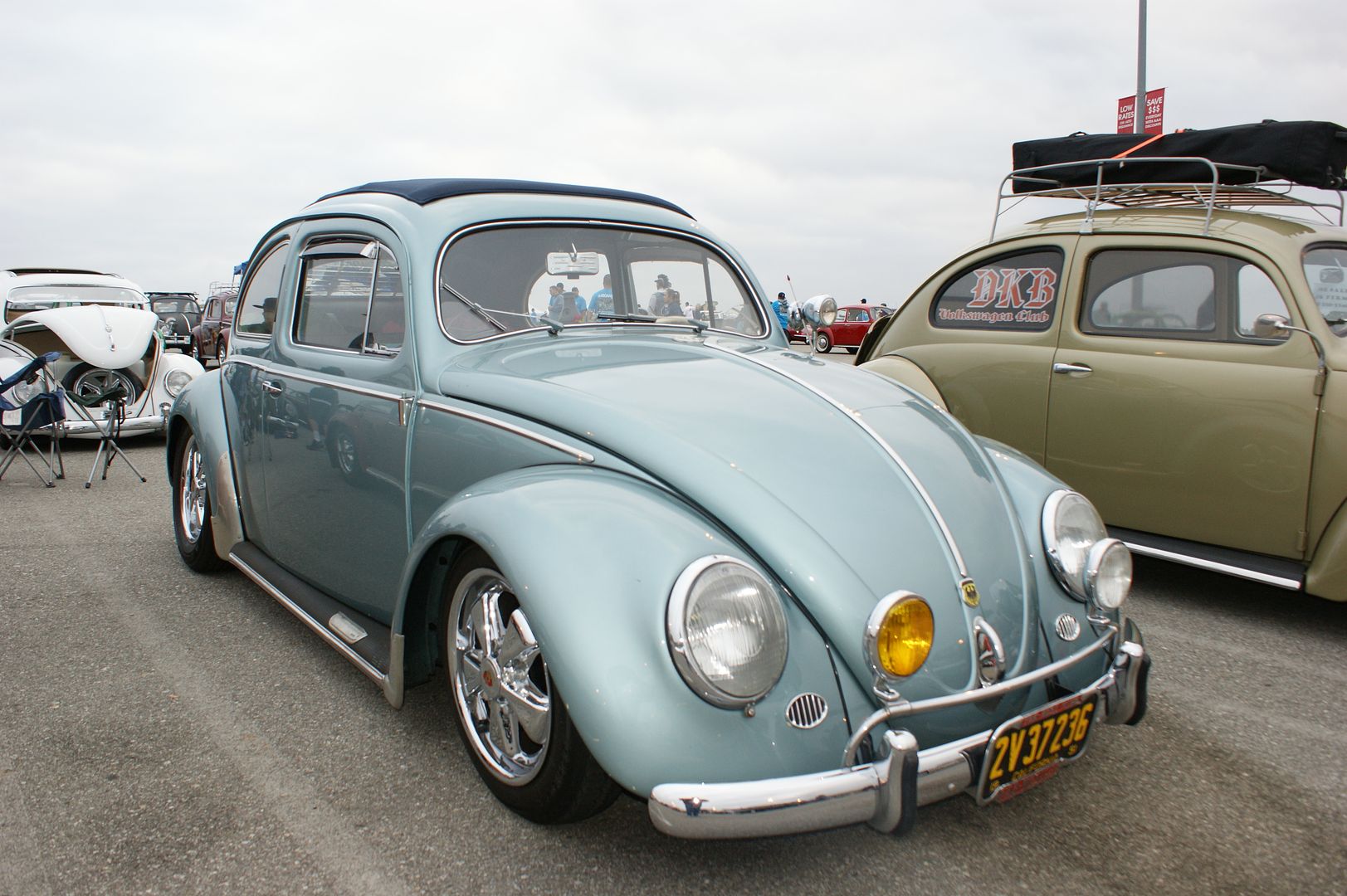 VWclassic2011013.jpg