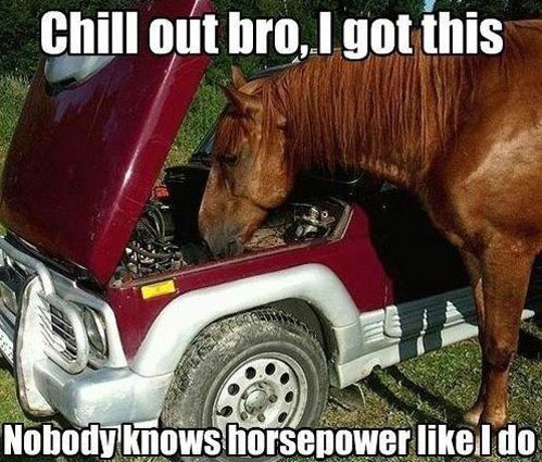 horsepower.jpg