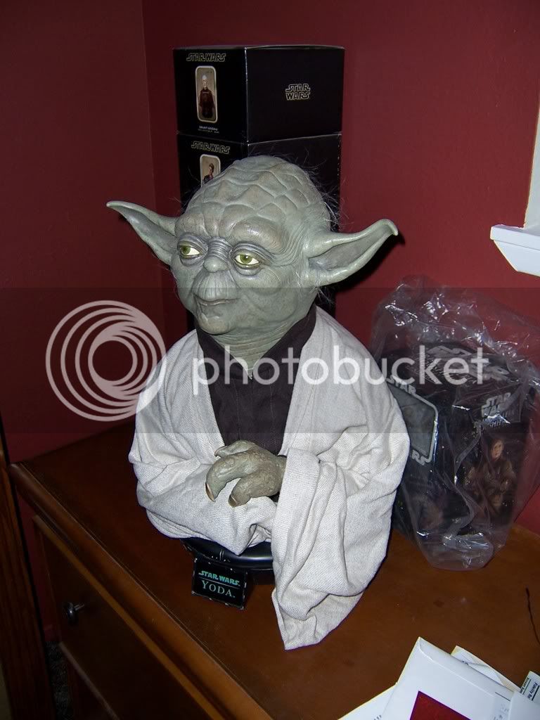 yoda1.jpg