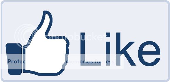 Facebook-Like-Button-big_zps76407e20.jpg