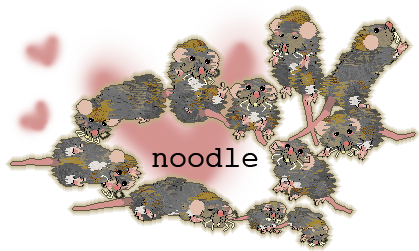 noodle-2.png