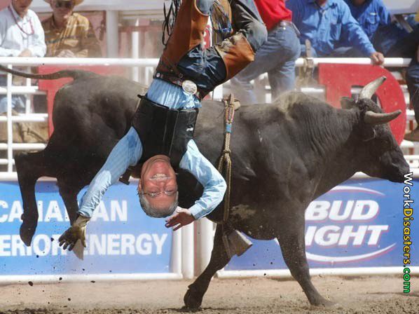 BullRiderDavecopy.jpg