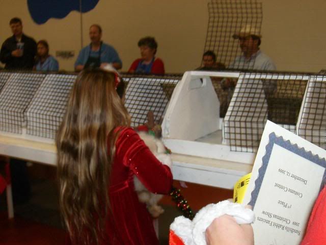 RabbitShow121209019.jpg