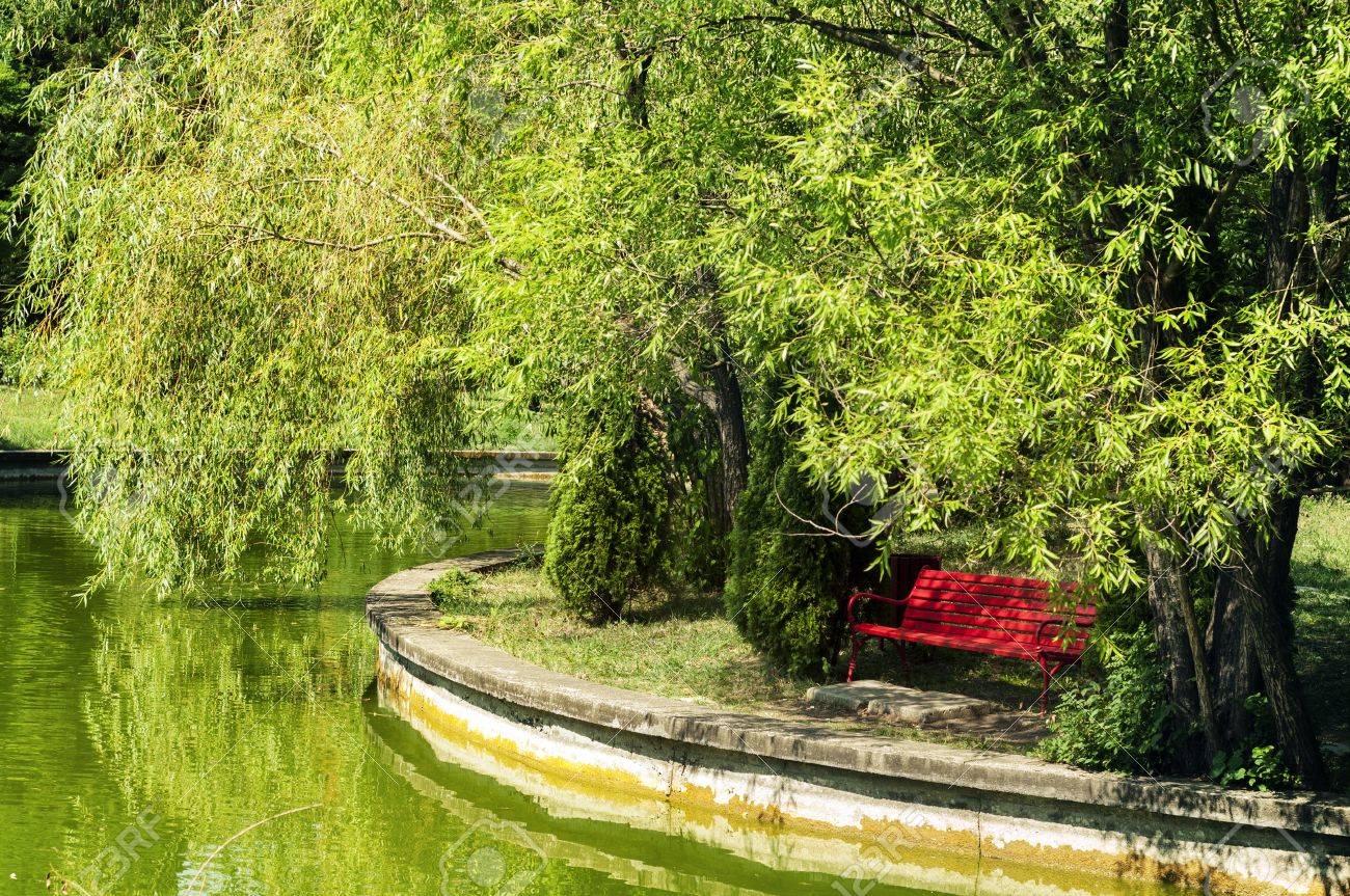 64393049-red-bench-near-an-emerald-green-lake-and-trees-.jpg