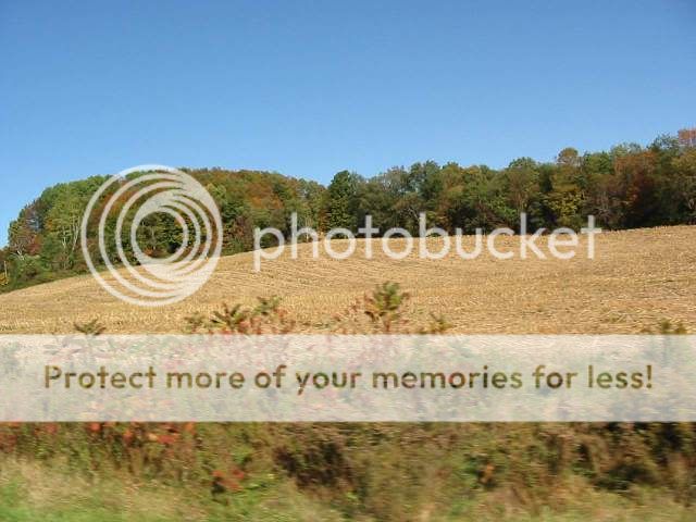 AutumnHillside100708.jpg