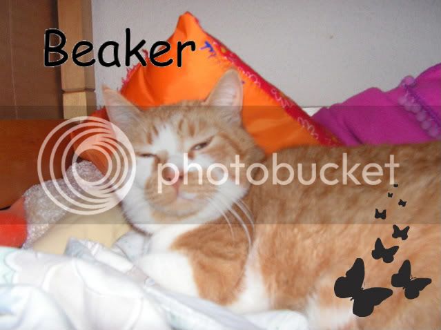 Beaker002-1.jpg