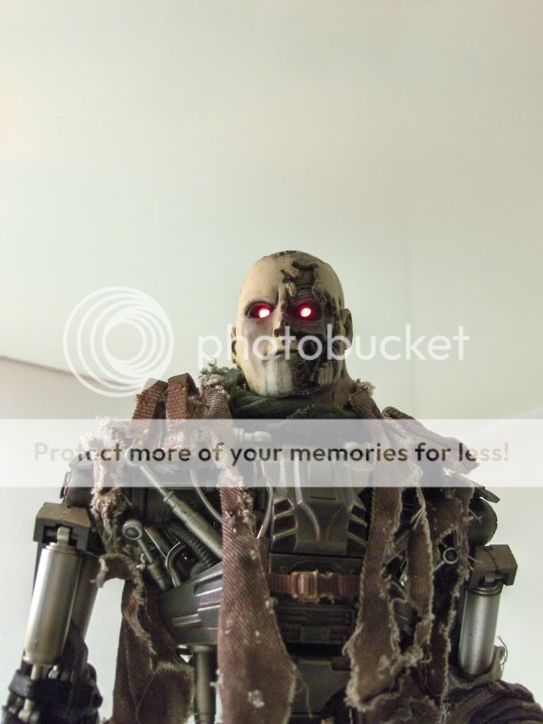 T-600007.jpg