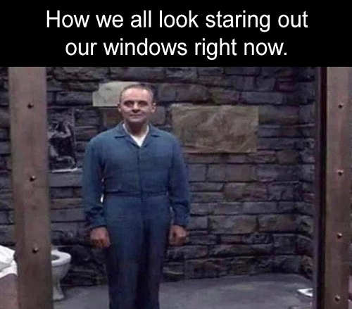 how-we-all-look-staring-out-windows-right-now-hannibal-lecter.jpg