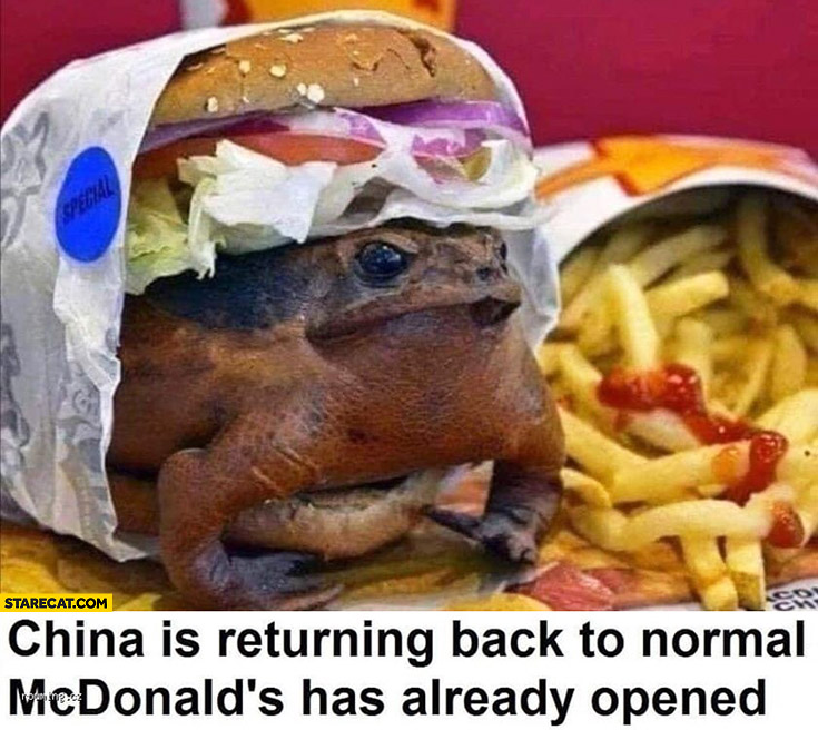 china-is-returning-back-to-normal-mcdonalds-has-already-opened-burger-with-a-frog.jpg