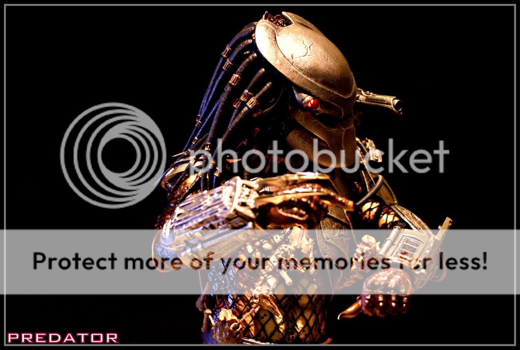 Predator2-1.jpg