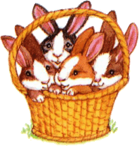 basket-of-rabbits.gif