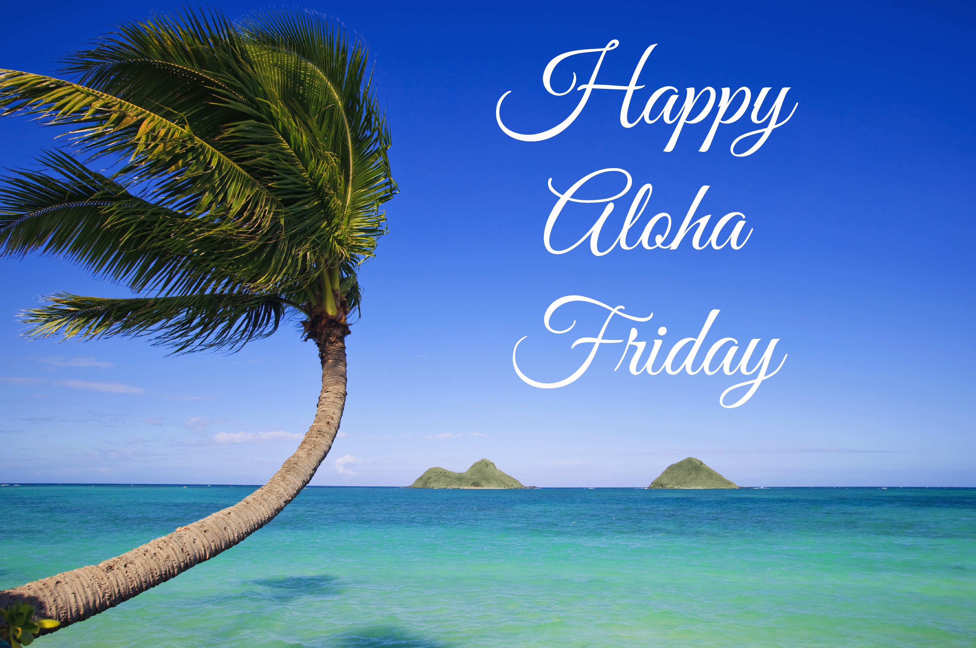 Happy-Aloha-Friday-444.jpg