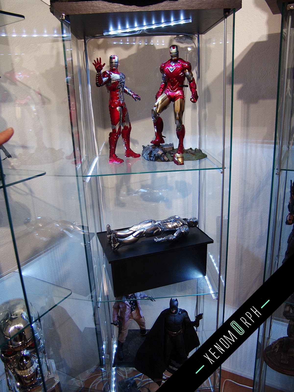 detolf.jpg