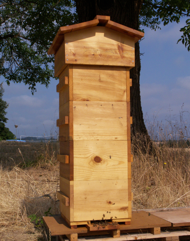 large-hive.jpg