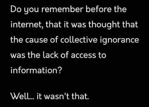 remember-before-internet-thought-ignorance-lack-of-access-to-information-it-wasnt-that.jpg