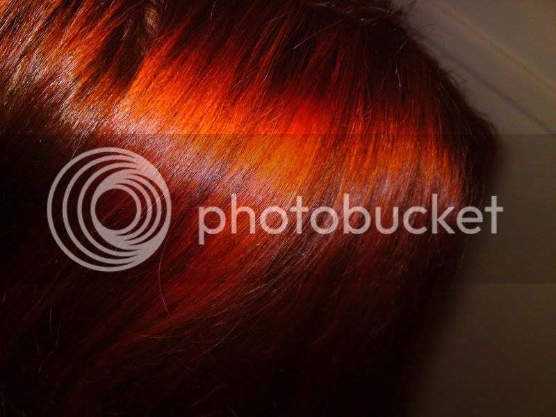 hair22710b.jpg