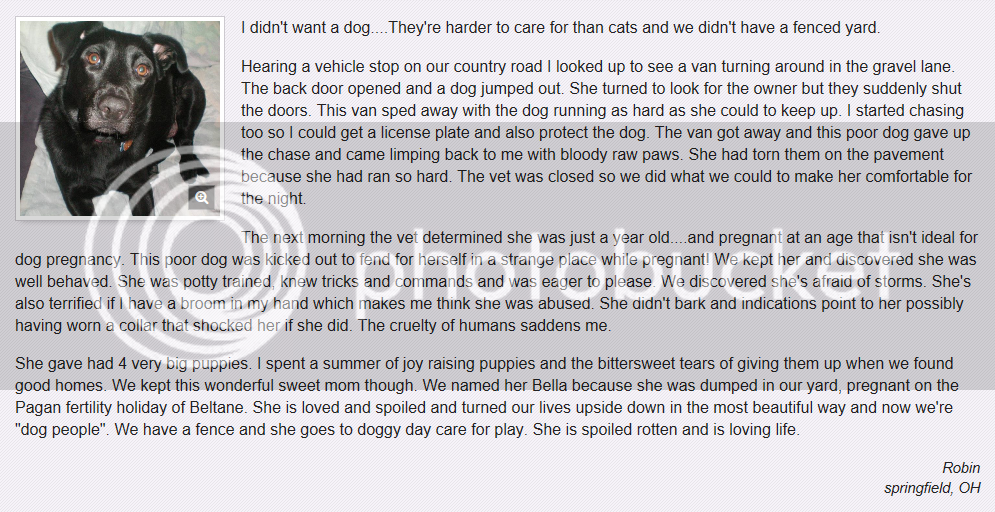 animalrescuesitestory1.png