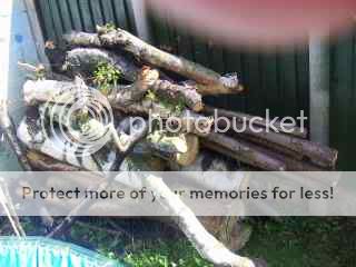 wood11-firewoodsplitters.jpg