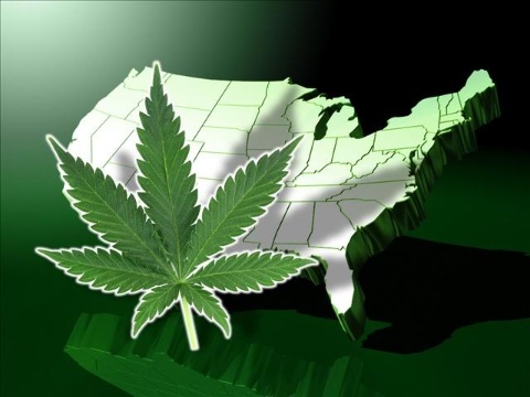 legalize-marijuana-for-recreational-use-now-thcf.jpg