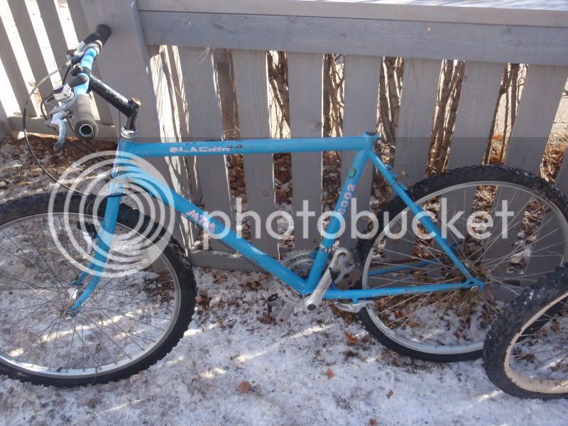 freebikes032.jpg