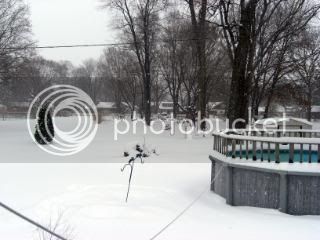 Backyardduringsnowstorm212-16-07.jpg