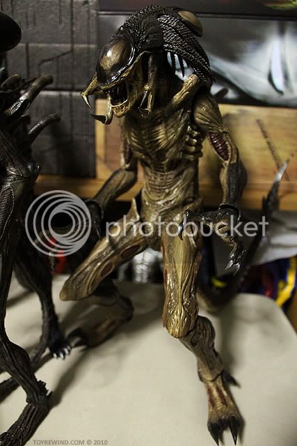 avprpredalien.jpg