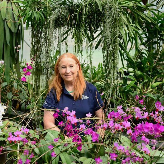 Dotty Woodson with orchids in a greenhouse