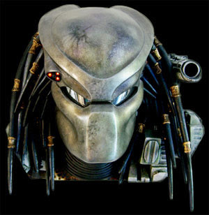 predator1.jpg