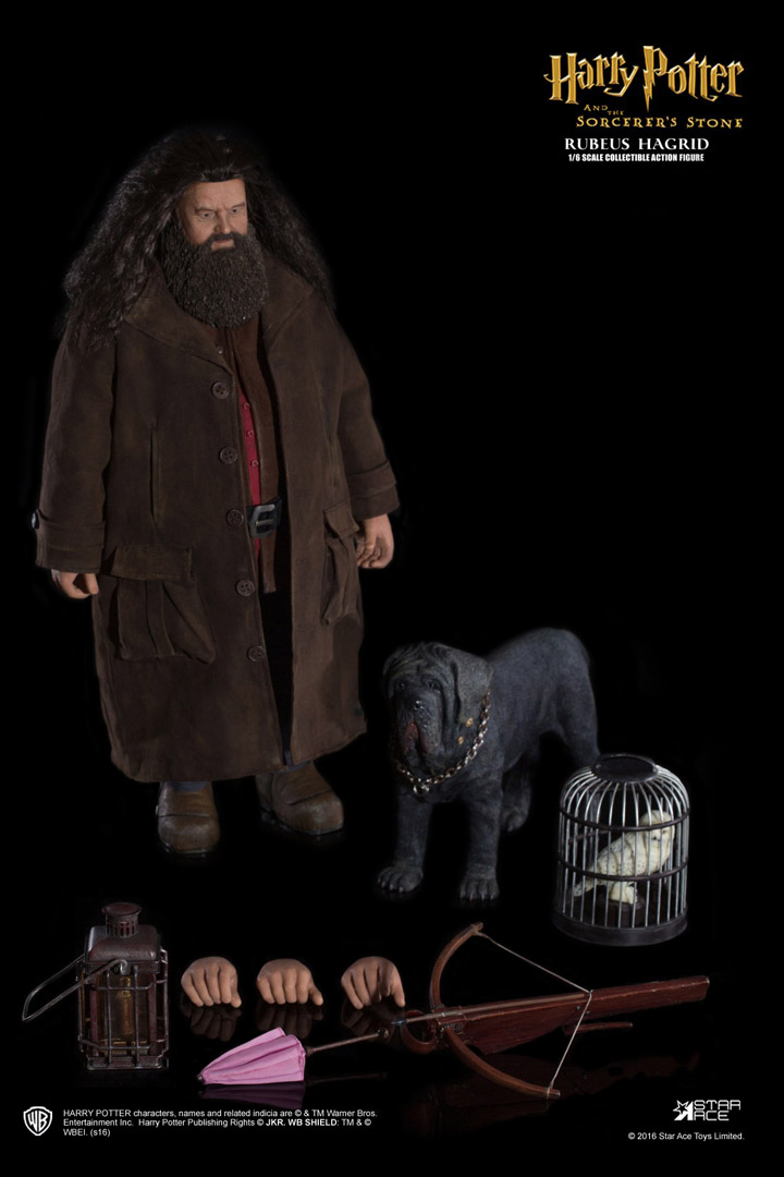 Hagrid-D17.jpg