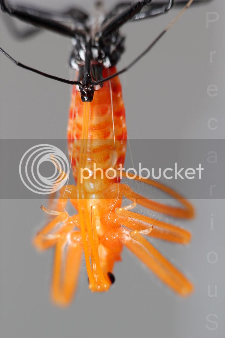 WheelMolt04_9935-sm.jpg