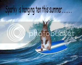 sparky_surfer.jpg