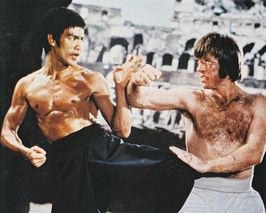 Chuck_Norris_vs__Bruce_Lee_by_Hyp64.jpg