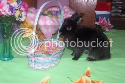 Easter056.jpg