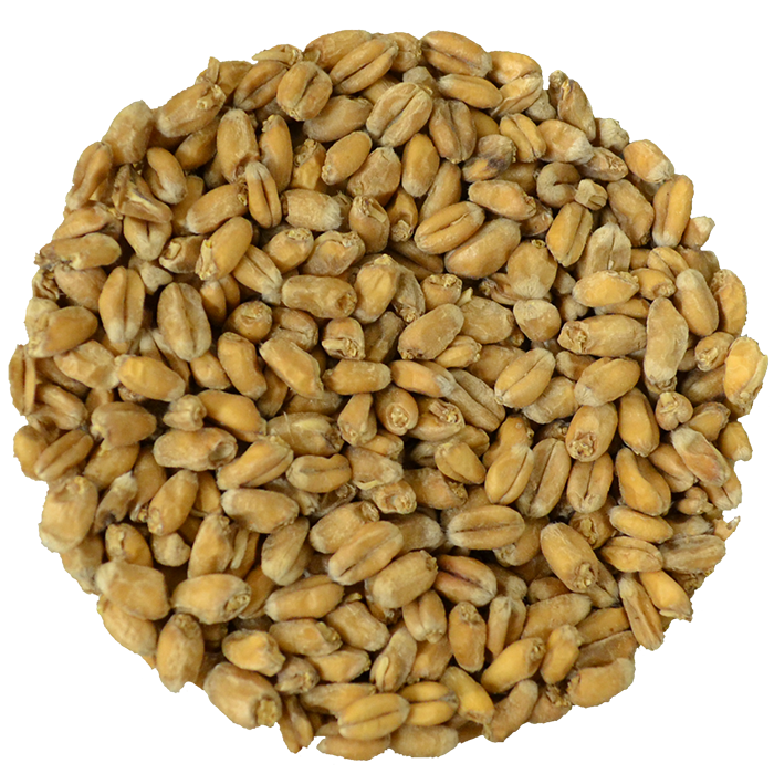 grain-lt-wheat-detail.png