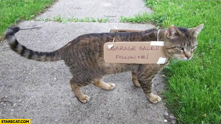 cat-with-banner-garage-sale-follow-me.jpg