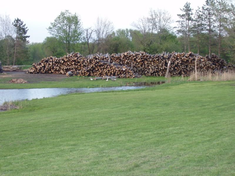 Logs.jpg