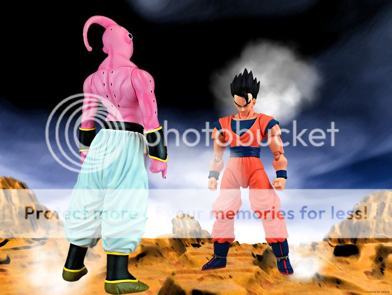 GOHAN1_zps4dozdhin.jpg~original