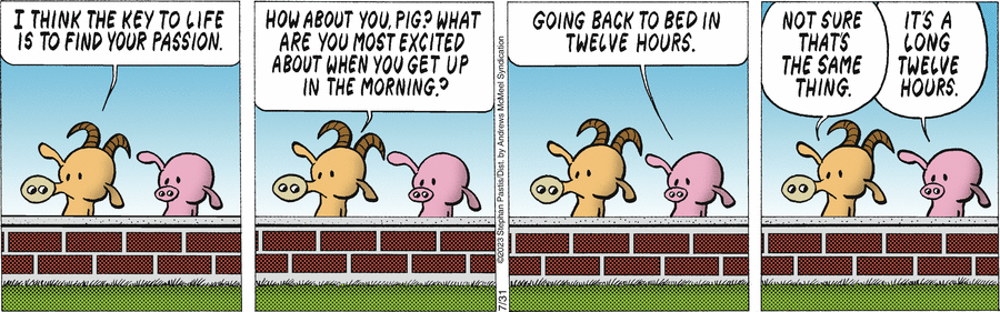 Pearls Before Swine Comic Strip for July 31, 2023 