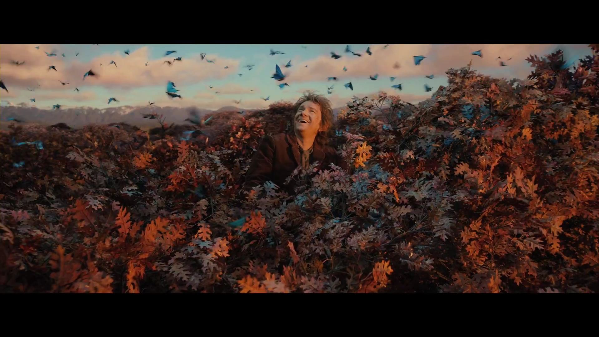 dos-bilbo-butterflies.png