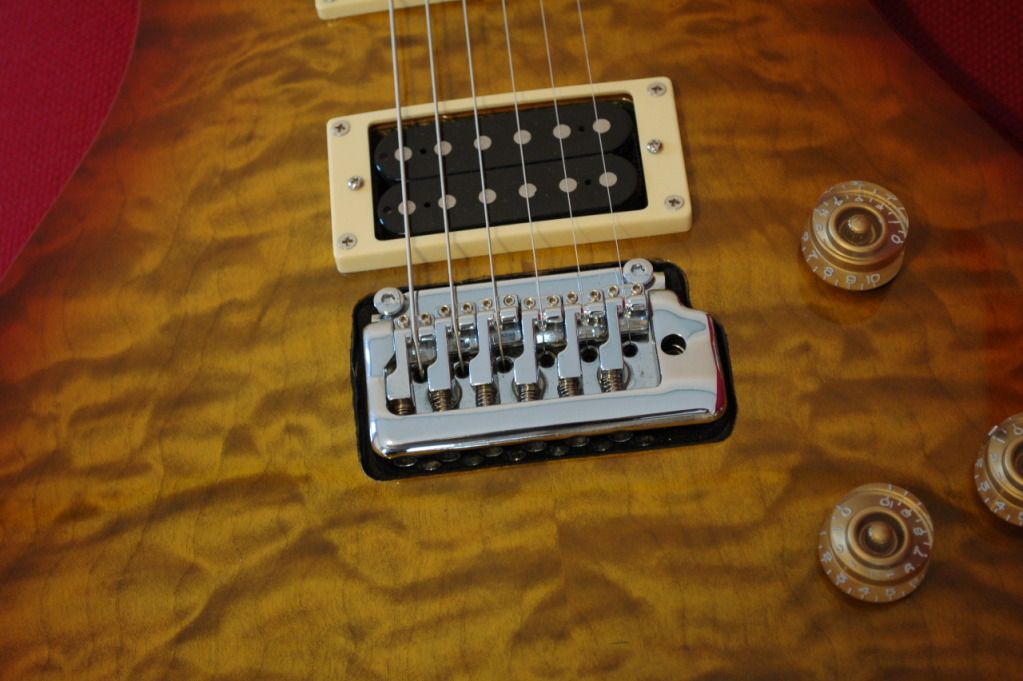 DillionTremolo007_zps12798c3e.jpg